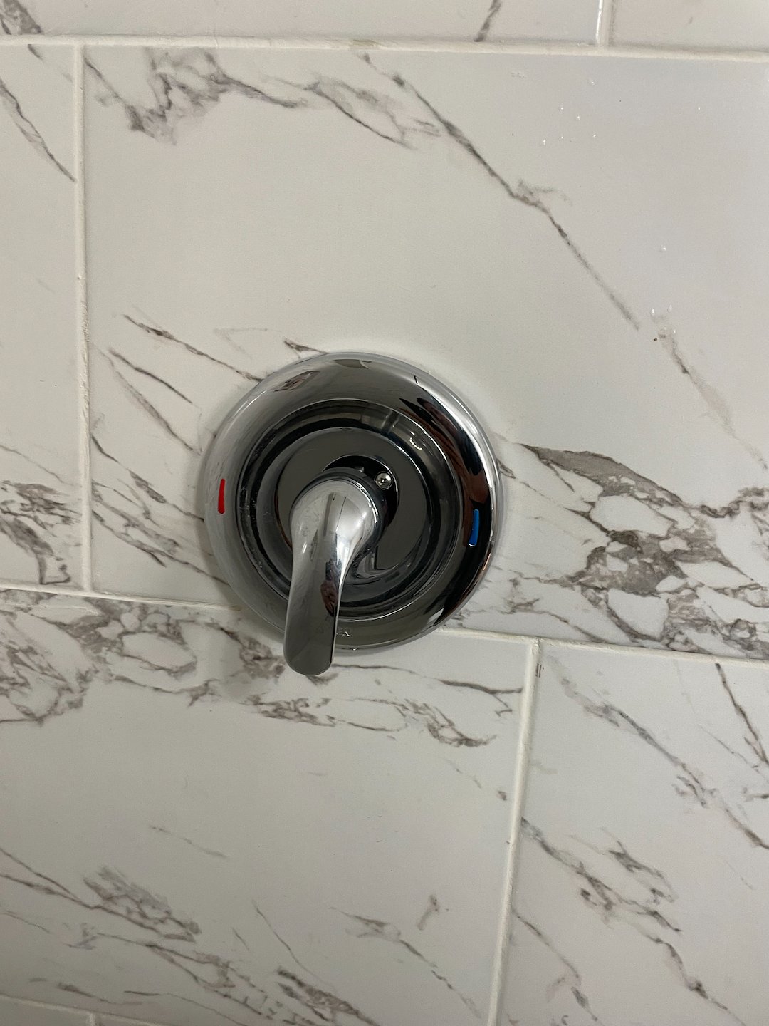 master shower valve leak